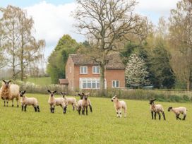 Orchard House - Herefordshire - 1055319 - thumbnail photo 47