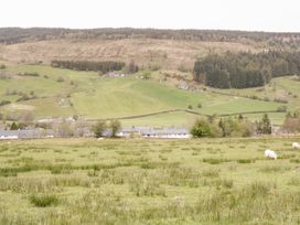 A grassy field with sheep grazing in front of a row of houses and hills in the background at Afallon in Penmachno