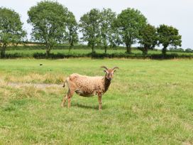 The Stables - Somerset & Wiltshire - 1057778 - thumbnail photo 30