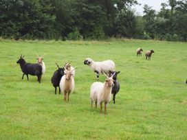 The Stables - Somerset & Wiltshire - 1057778 - thumbnail photo 35