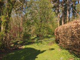 A garden path surrounded by trees and bushes at Jasmine Cottage in South Perrott near Mosterton