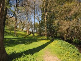 A grassy area with trees and a stream at Jasmine Cottage in South Perrott near Mosterton