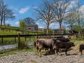Sheep grazing in a field with a fence and buildings at The Fox Den Nantmel near Rhayader