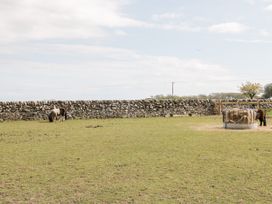 Ketburn Shepherds Hut at Balnab Farm - Scottish Lowlands - 1058902 - thumbnail photo 20