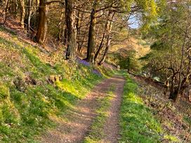 A path lined with trees and flowers in a natural setting at The Escape in Malvern