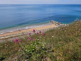 A grassy cliff with flowers overlooking a sandy beach and calm ocean at Sandy Combe in West Bay