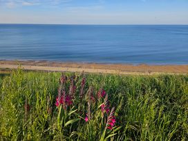 A coastal scene with purple flowers and tall grass overlooking a beach and calm sea at Sandy Combe in West Bay