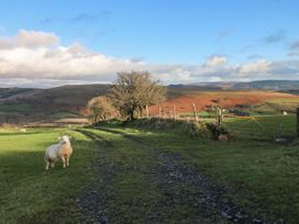 Nant Moel Isaf Farm - South Wales - 1060276 - thumbnail photo 41