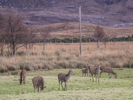 Stalker's Cottage - Torridon - Scottish Highlands - 1060423 - thumbnail photo 20