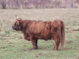 Stalker's Cottage - Torridon - Scottish Highlands - 1060423 - thumbnail photo 21
