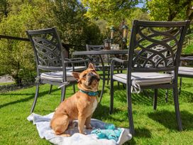 A dog sitting on a blanket near a table with chairs on a grassy outdoor area at The Woodlands in Berrynarbor