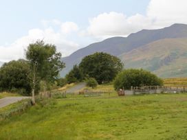 A field with trees and a road at Sherriff, Troutbeck, near Keswick