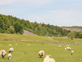 Kilmartin View - Scottish Highlands - 1062502 - thumbnail photo 28