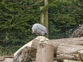 Keets at Middle Acre - Dorset - 1063070 - thumbnail photo 23