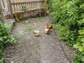 Keets at Middle Acre - Dorset - 1063070 - thumbnail photo 19