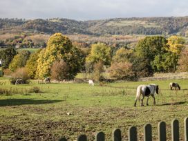 Grove Farm Barn - Peak District - 1063970 - thumbnail photo 27