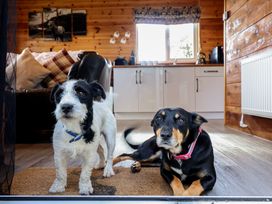 Two dogs on a doormat in a living room at Stag Lodge Pod in Llanfair Caereinion