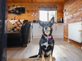 A dog sitting in a living room at Stag Lodge Pod in Llanfair Caereinion