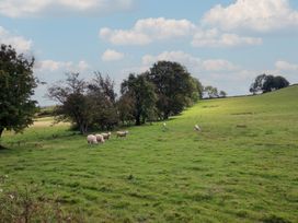 A field with sheep grazing and trees at Stag Lodge Pod Llanfair Caereinion