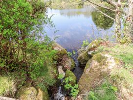 A natural water stream with mossy rocks and green vegetation near a pond at Garden Cottage in Garndolbenmaen near Tremadog