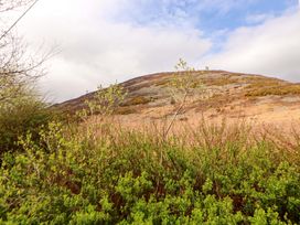 A hill with bushes in the foreground at One Town End, Mungrisdale, Mosedale