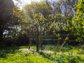 An outdoor scene with trees and flowers in a field at Carrows Stable Morwenstow