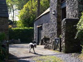 A dog in a gravel area near stone buildings at Carrows Stable in Morwenstow