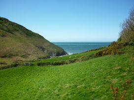 Dolwylan Cottage - Mid Wales - 1066980 - thumbnail photo 25