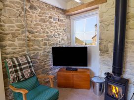 A living room with a television and stove at Dolwylan Barn Cwmtydu near New Quay
