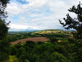 Olive Tree Cottage - Devon - 1067010 - thumbnail photo 44