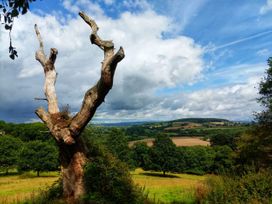 Olive Tree Cottage - Devon - 1067010 - thumbnail photo 45