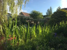 A garden with tall green plants flowers bushes and trees with a building in the background at Tawny Owl Barn in Leintwardine