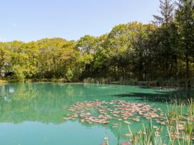 Dove Lodge - Devon - 1068231 - thumbnail photo 18