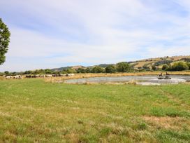 A field with cows near a water trough at Bodaioch Hall Trefeglwys near Caersws