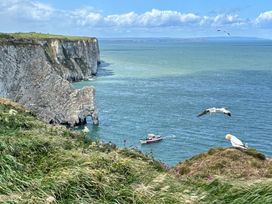 A view of cliffs and ocean with a boat and birds at Bobbies' Retreat, 20 High Street, Bridlington