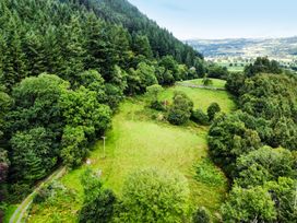 An aerial view of a grassy area surrounded by trees at Greffyn in Betws-Y-Coed