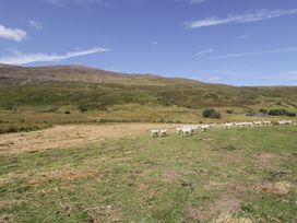 A grazing area with sheep and mountains at Cwm in Capel Curig