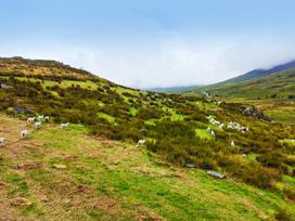 A landscape with sheep grazing on grass at Cwm in Capel Curig