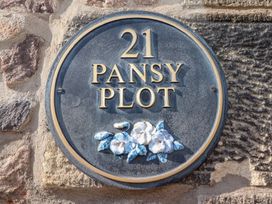 Pansy Plot - Northumberland - 1070440 - thumbnail photo 2