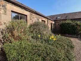 Pansy Plot - Northumberland - 1070440 - thumbnail photo 21