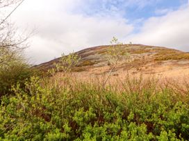 A mountain surrounded by bushes at Two Town End in Mungrisdale, Mosedale