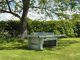 An outdoor table tennis table on grass under a tree with a hedge background