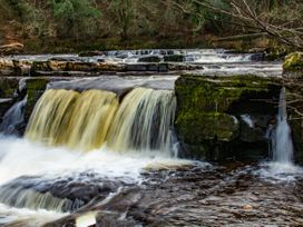 Woodland View - Yorkshire Dales - 1070889 - thumbnail photo 27