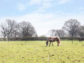 The Cider House - Herefordshire - 1070977 - thumbnail photo 27