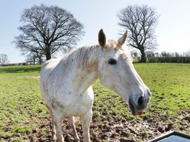 The Cider House - Herefordshire - 1070977 - thumbnail photo 28