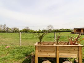 Colomendy Alpaca Farm - Coach House - North Wales - 1072225 - thumbnail photo 38