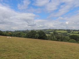 A field with sheep and hills in the background at The Cadeleigh near Tiverton