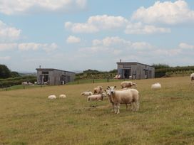 A field with sheep and two huts at The Cadeleigh near Tiverton