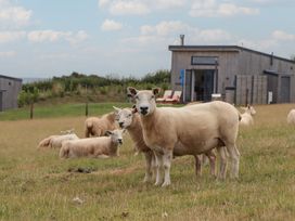 Two sheep in a field with a house in the background at The Cadeleigh Cadeleigh near Tiverton