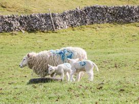 Owls Barn - Peak District - 1073049 - thumbnail photo 25